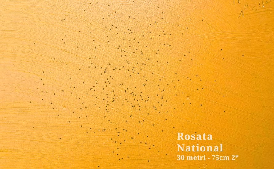 BP-National-Rosata-30