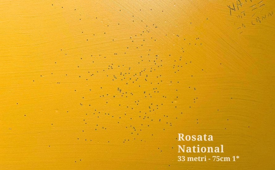 BP-National-Rosata-33