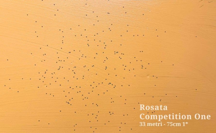 Competition-One-rosata-33m
