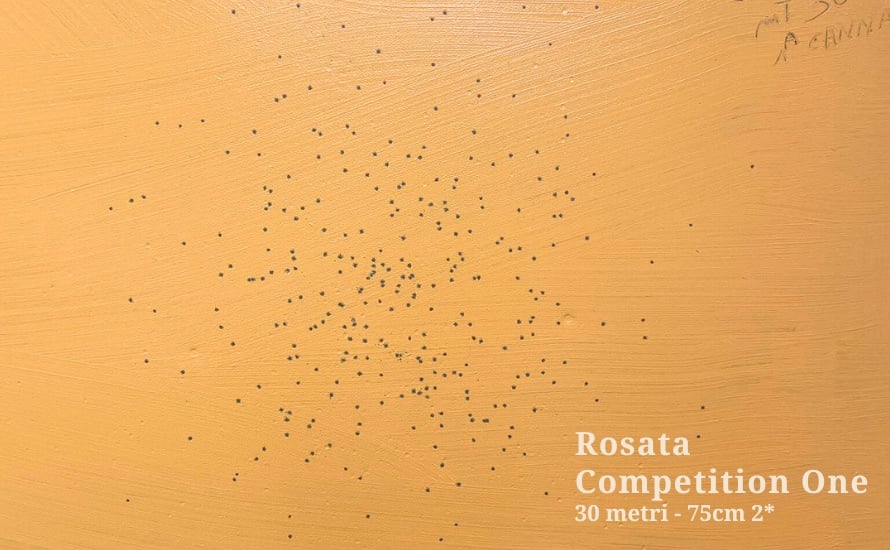 Competition-one-rosata-30m