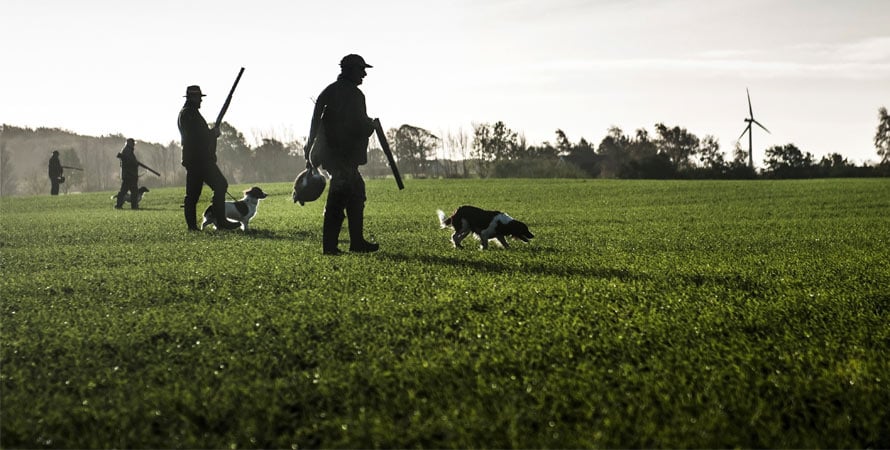 Drive-Pheasant-Hunting