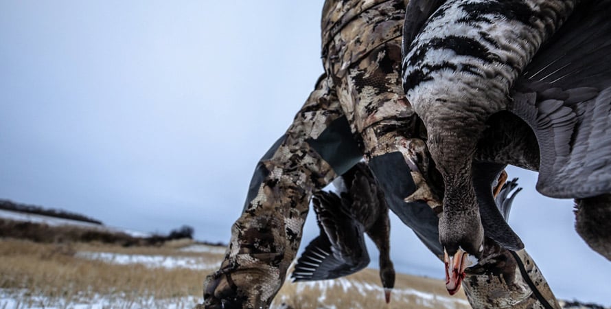 Duck-Hunting-With-B&P