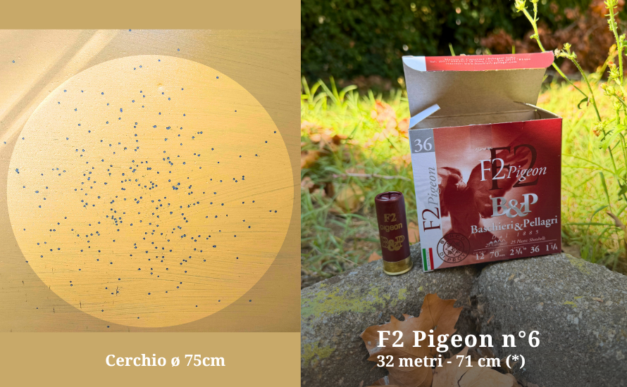 F2-Pigeon-32m