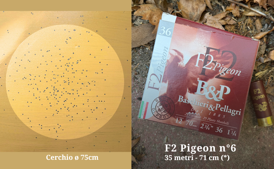 F2-Pigeon-35m