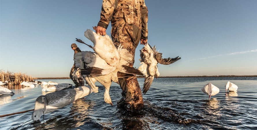 Goose-Hunter-Waterfowl