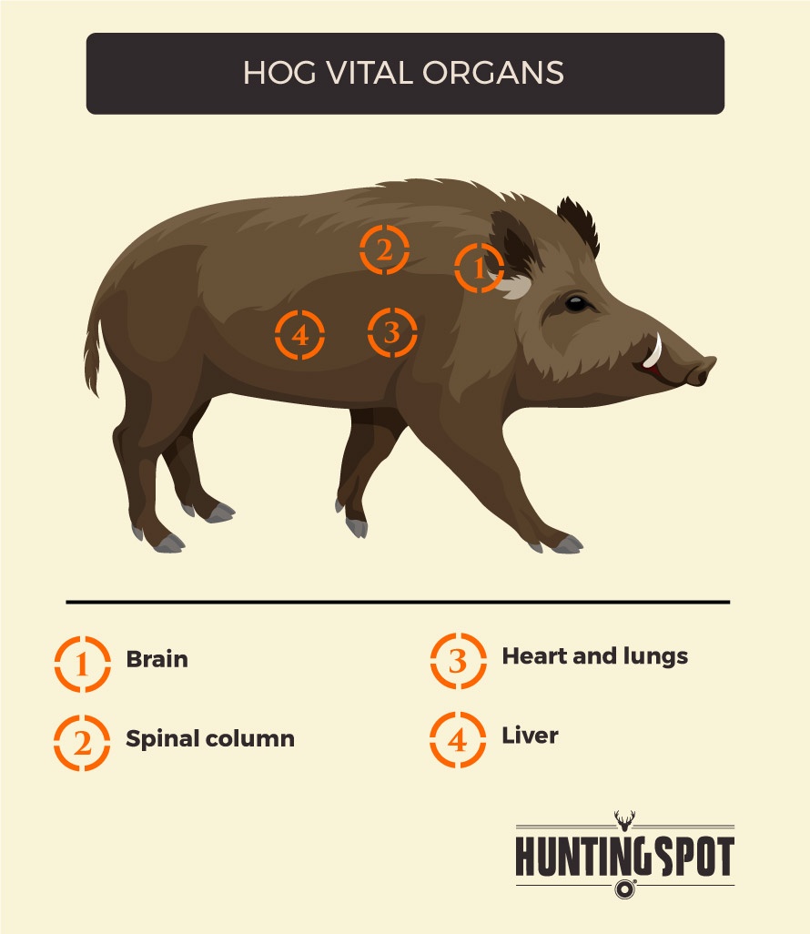 Hog перевод. Wild Hogs перевод. Hog проект. Hog метод - что это.