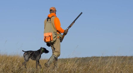 Your first hunting shotgun: top tips to choose it