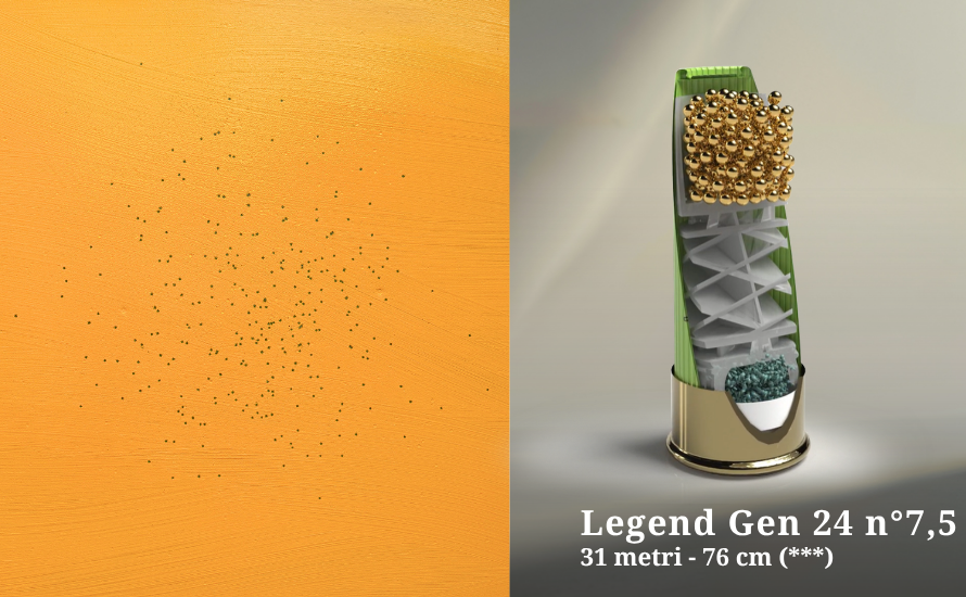 Legend-Gen-31m