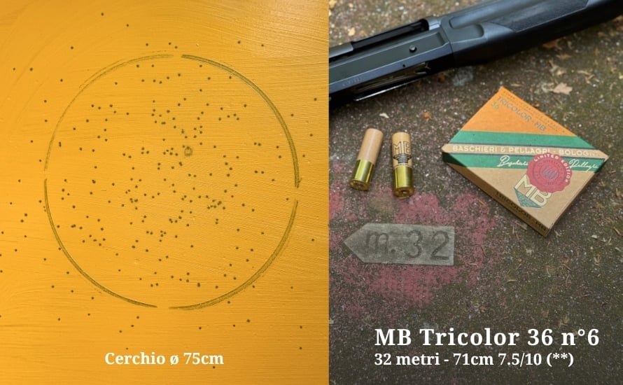 MB-Tricolor-36-32m