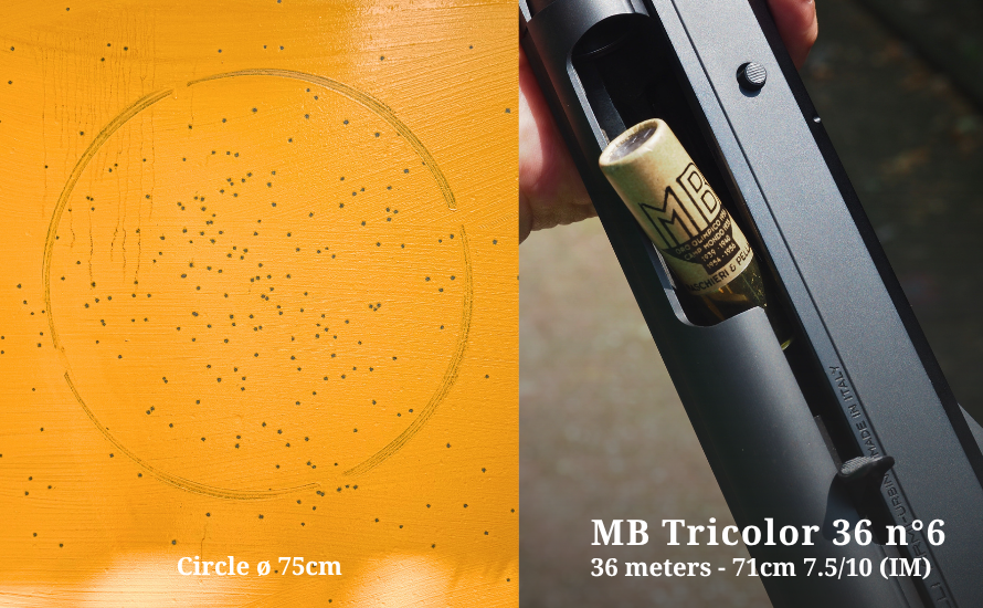 MB-Tricolor-36-36m-ENG