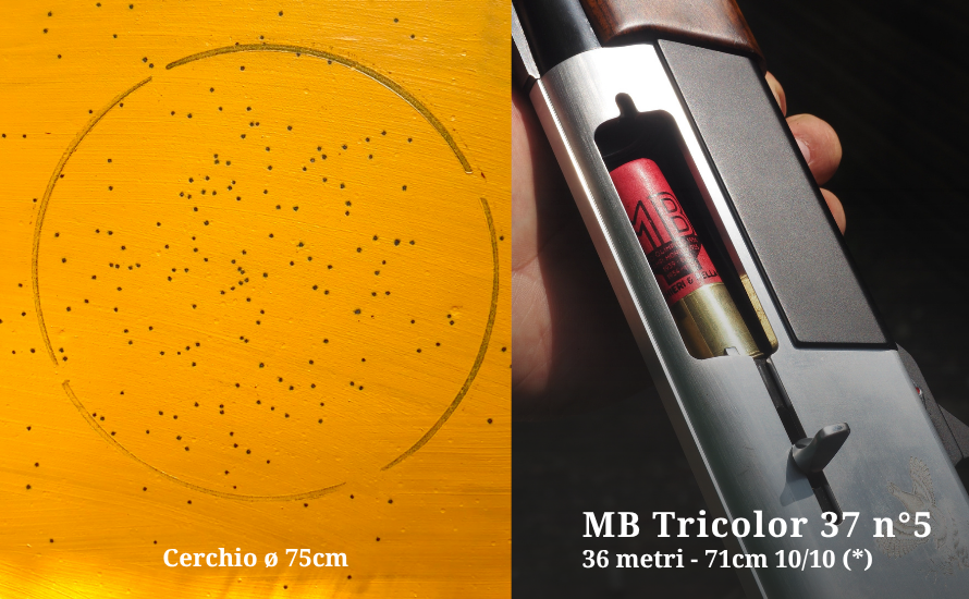 MB-Tricolor-37-36m