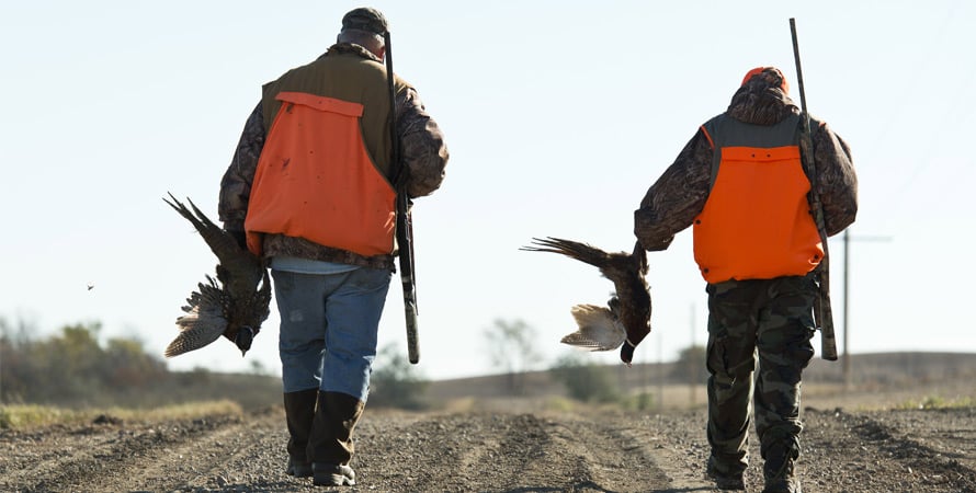 Pheasant-Hunters-America