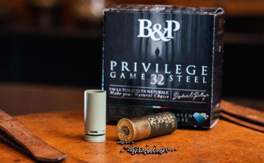 Privilege-Game-Steel-32