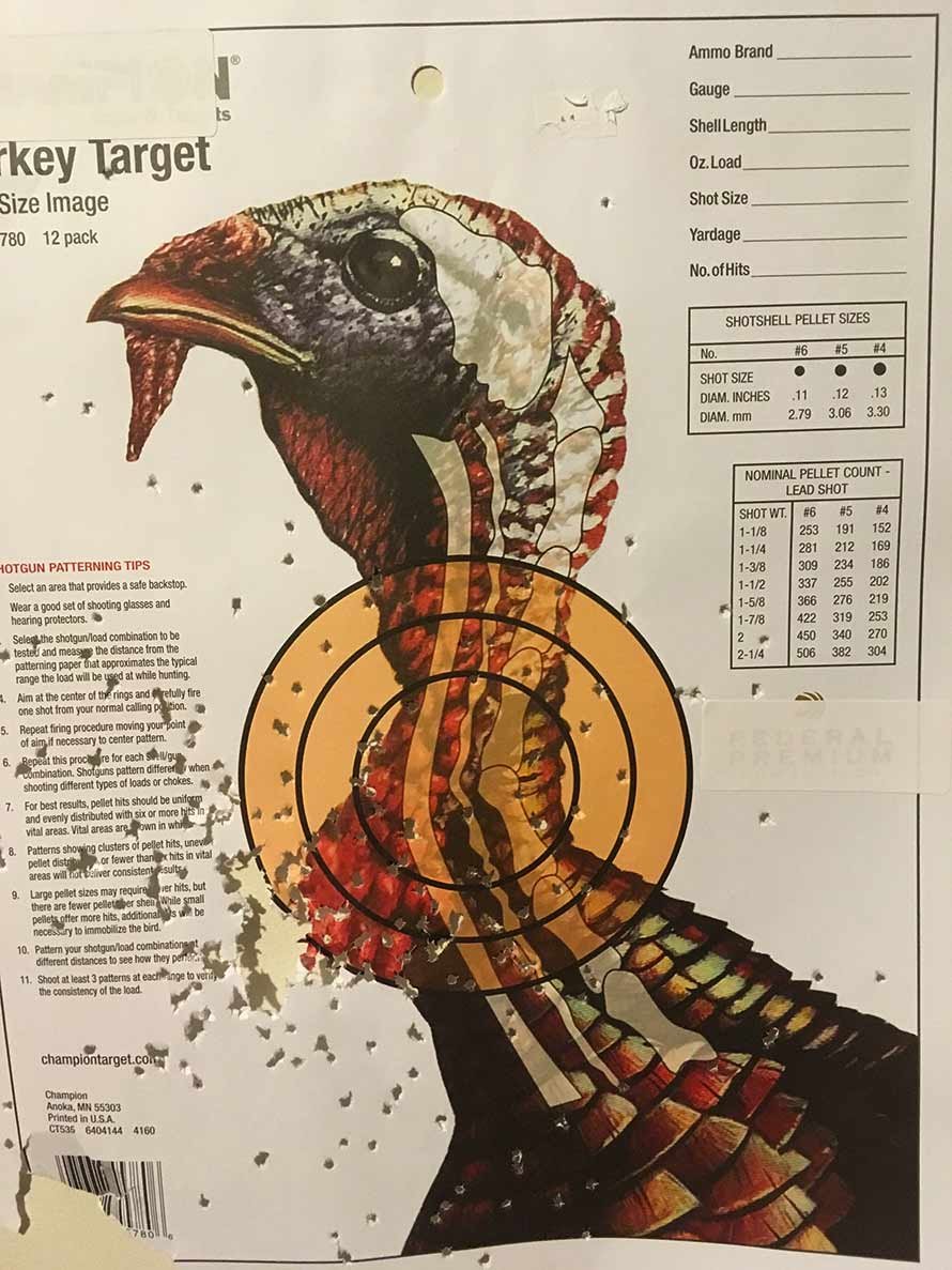 Turkey Hunting Primer: Getting Started