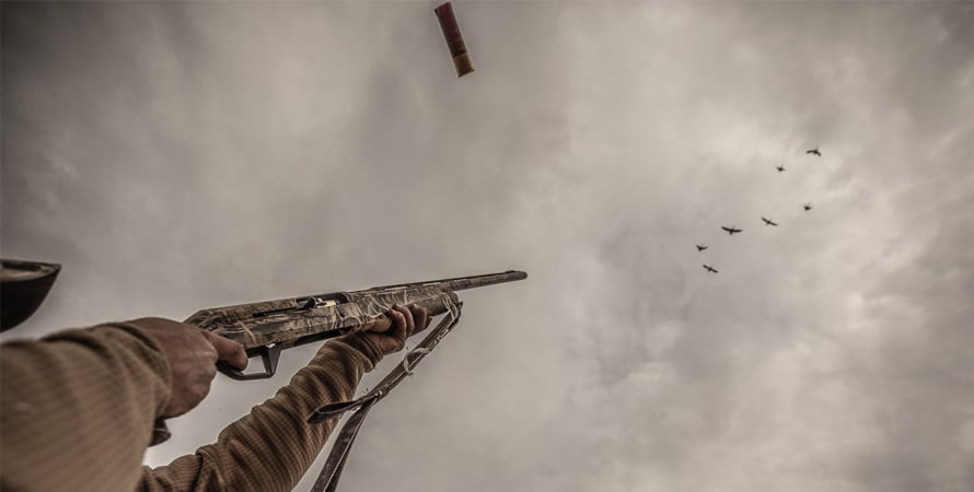 Shotgun-Goose-Hunting