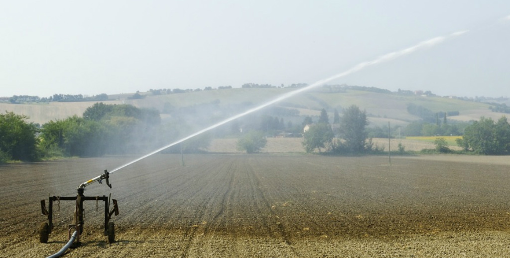 Sprinklers Garden