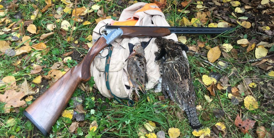 Is there a best shotgun gauge for upland hunting?