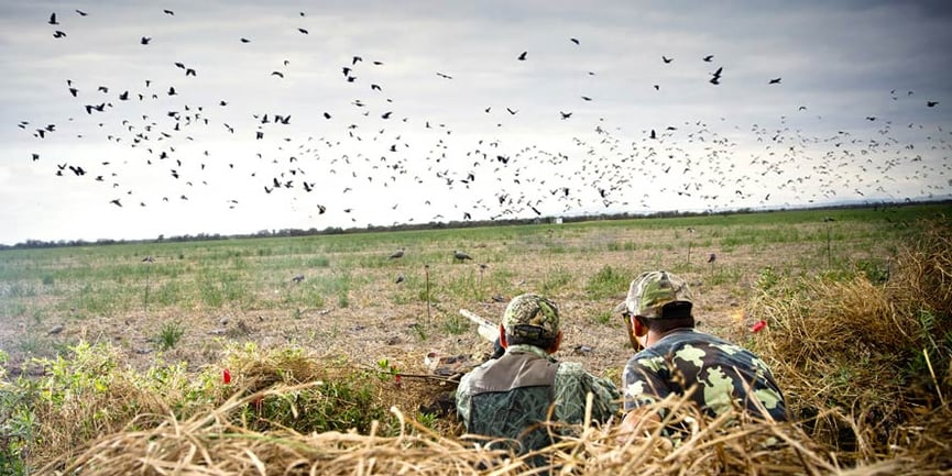 cacciatori-sparano-uccelli-3.jpg