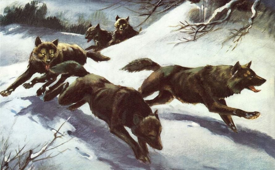 lupi-nella-neve-lemmi