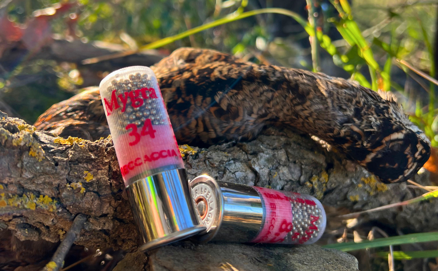 mygra-beccaccia-12-3