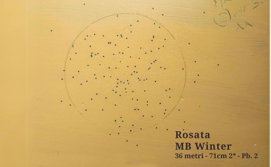rosata-MB-Winter-2