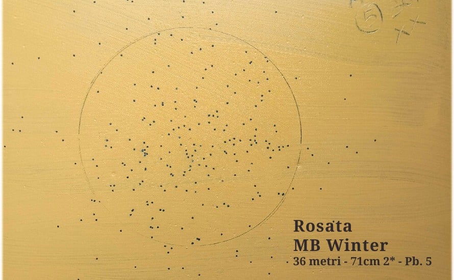 rosata-MB-Winter-5