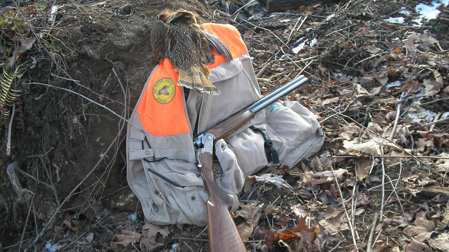 ruffed-grouse-5