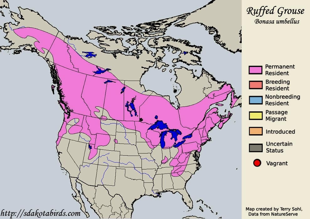 ruffed-grouse-map