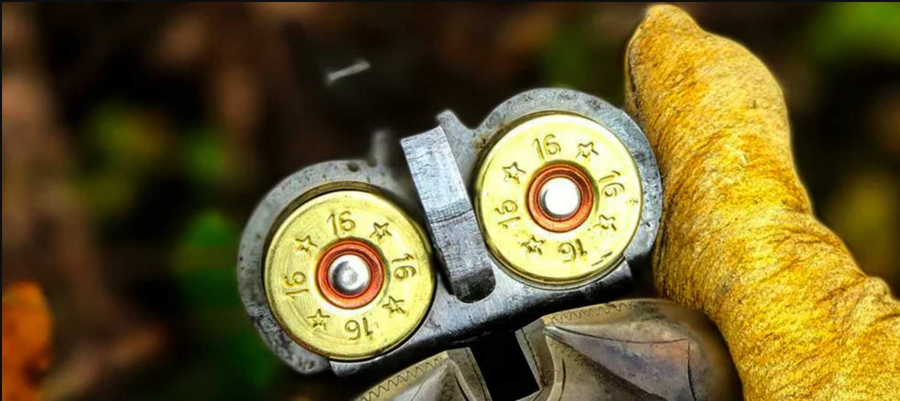 Overview of Shotgun Ammo: Gauges, Loads, Shots, Slugs and More