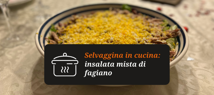Selvaggina in cucina: insalata di fagiano, leggera e gustosa!