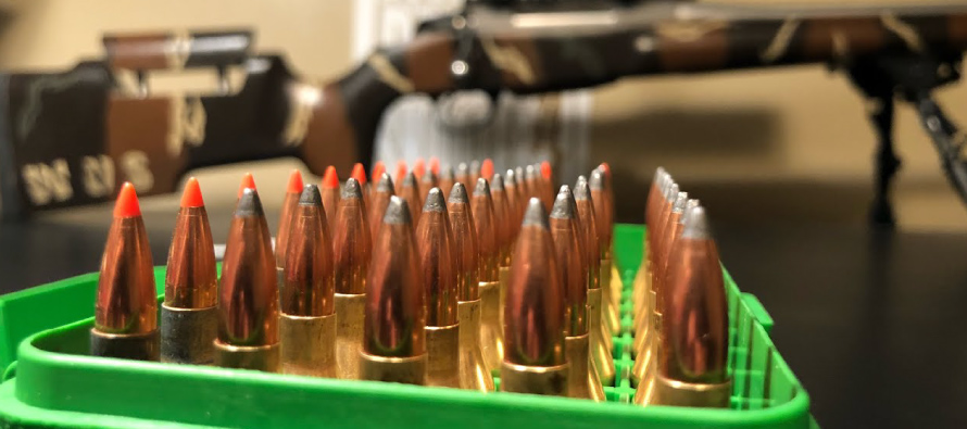 cartuccia-243-Winchester(3)